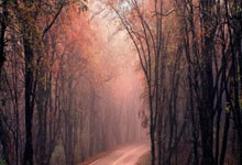 葡超里斯本竞技对阵吉维森特,这场比赛比分会如何?