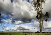 乌迪内斯足球俱乐部,意甲赛场的造星工厂与独特生存之道?