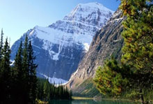 新浪足球竞彩即时比分直播好用吗?怎么看更高效?